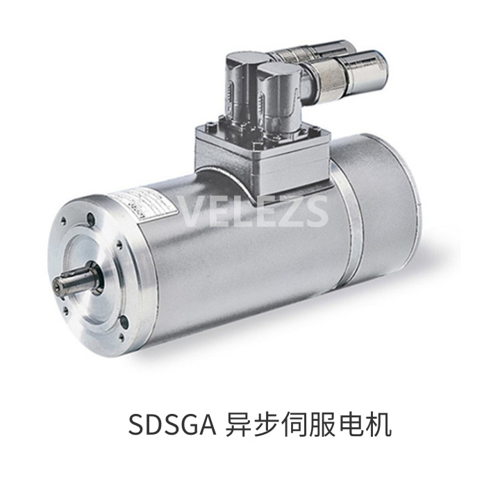 SDSGA 异步伺服电机