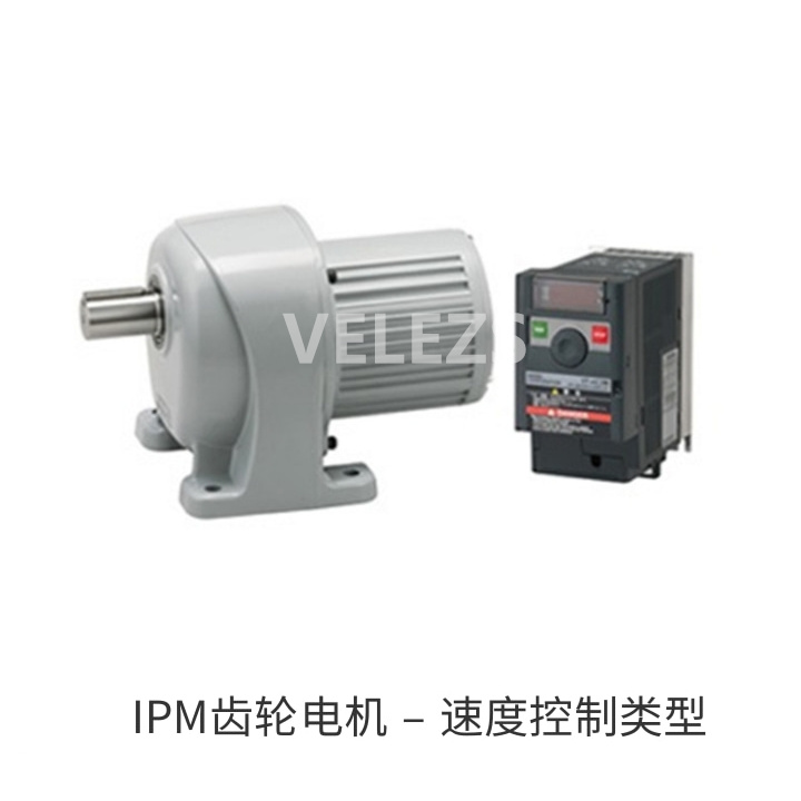 IPM齿轮电机 &ndash; 速度控制类型