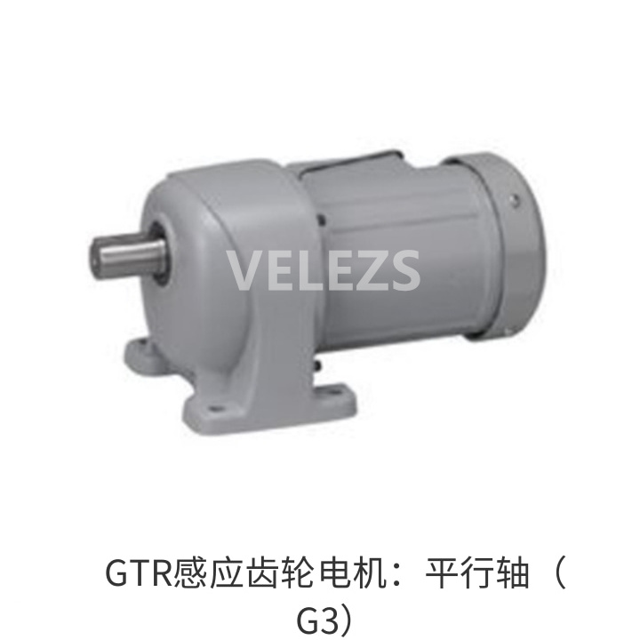 GTR感应齿轮电机：平行轴（G3）