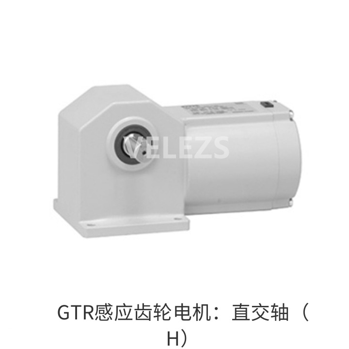 GTR感应齿轮电机：直交轴（H）