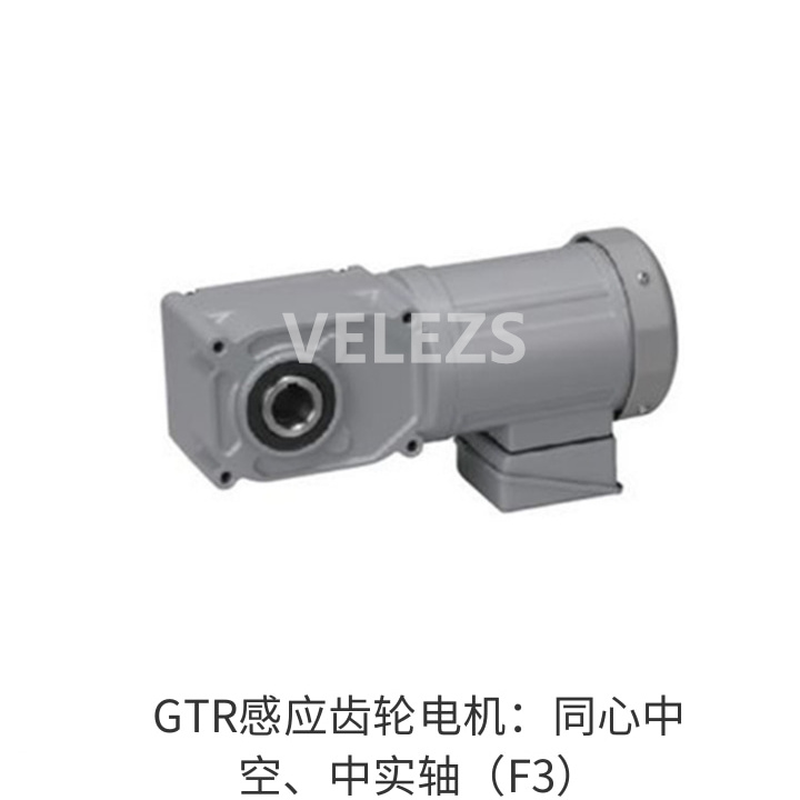 GTR感应齿轮电机：同心中空、中实轴（F3）