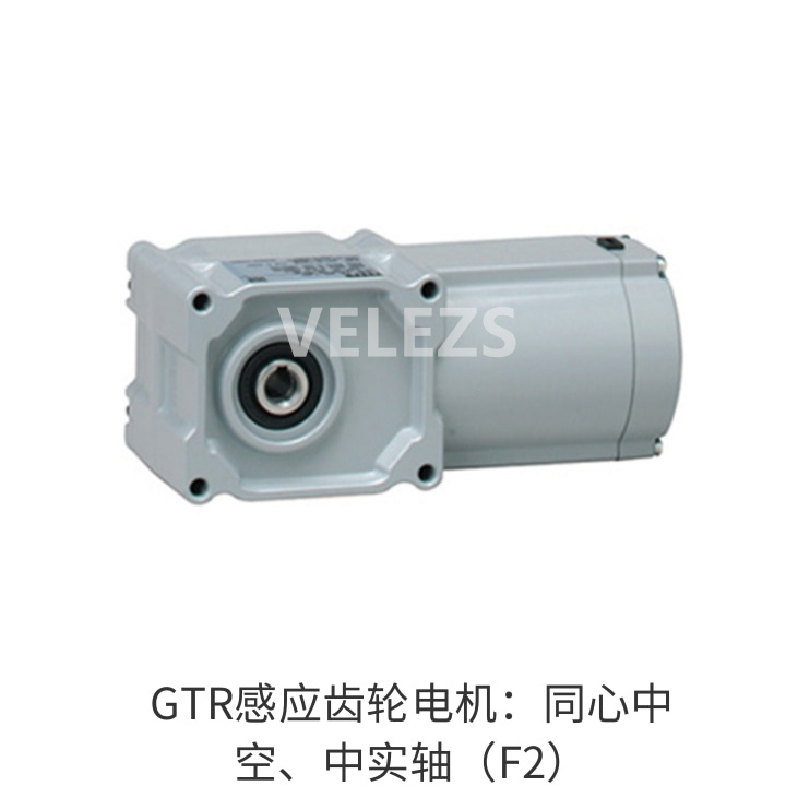GTR感应齿轮电机：同心中空、中实轴（F2）