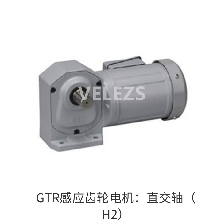 GTR感应齿轮电机：直交轴（H2）